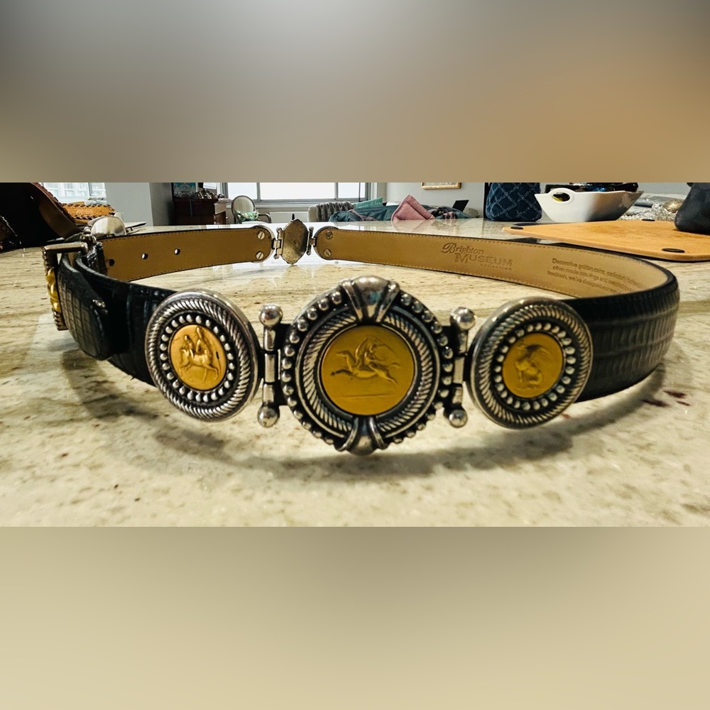 🔥Brighton Museum Collection leather and coin belt